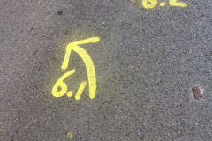 drie-lusjes-op-wegdek